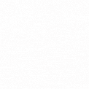 <iframe